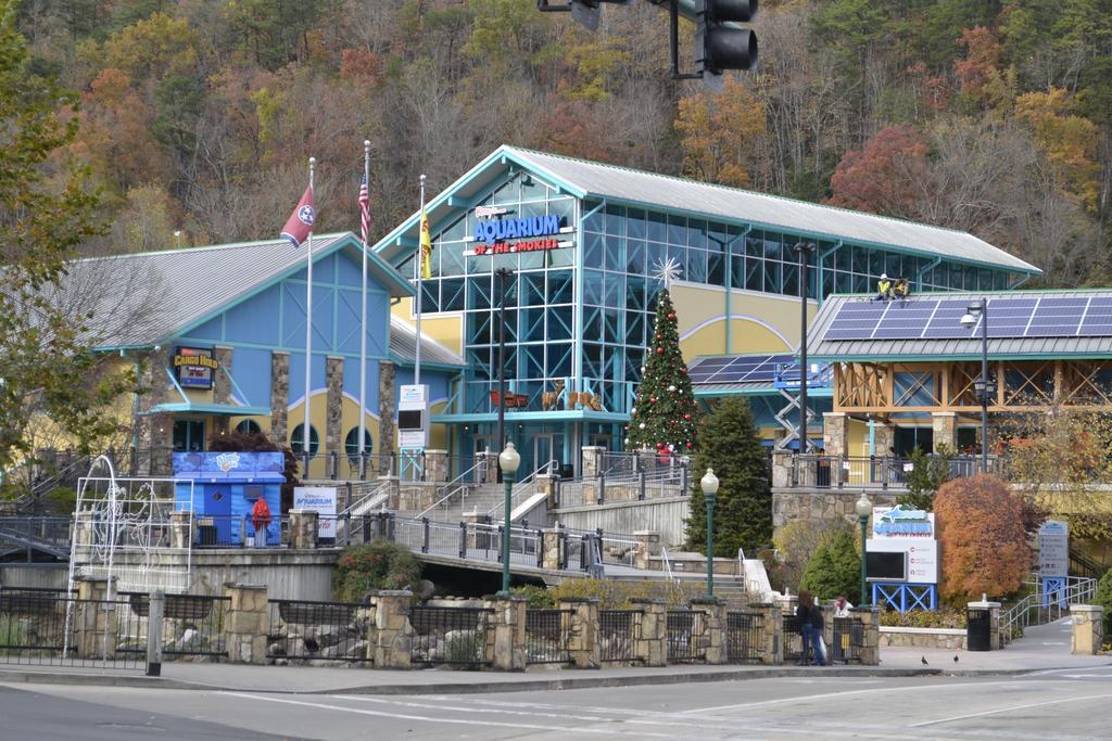 Rising Eagle Lodge - Eight Bedroom Pigeon Forge Ngoại thất bức ảnh
